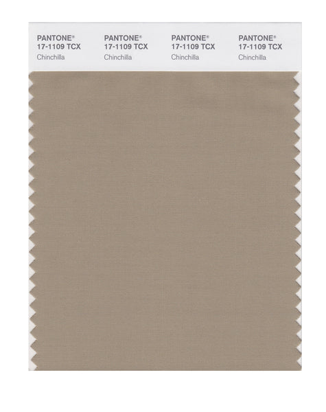 Pantone SMART Color Swatch Card 17-1109 TCX Chinchilla - Columbia