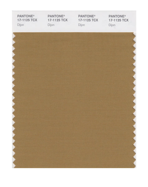 Pantone SMART Color Swatch Card 17-1125 TCX Dijon - Columbia Omni