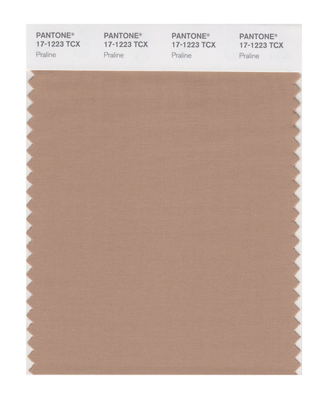 Pantone SMART Color Swatch Card 17-1223 TCX Praline - Columbia