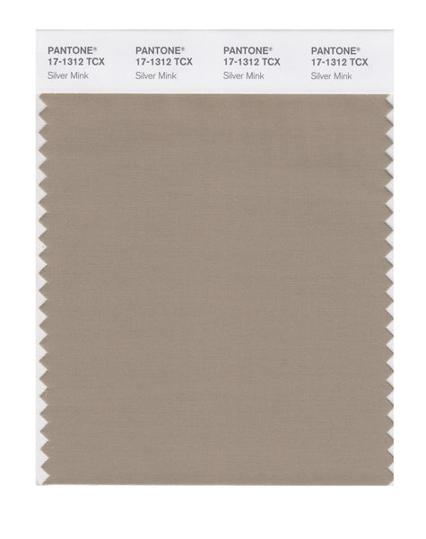 【37v】PANTONE for fashion and  Pantone SMART Color Swatch Card 17-1312 TCX Silver Mink - Columbia