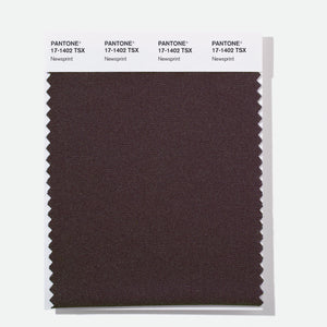 Pantone Polyester Swatch Card 17-1402 TSX Newsprint