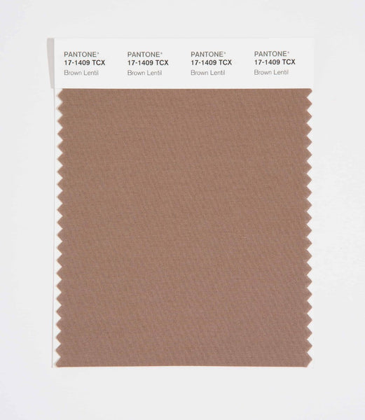 17-1409_Brown_Lentil_grande.
