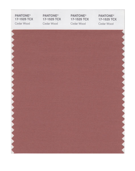 Pantone SMART Color Swatch Card 17-1525 TCX Cedar Wood - Columbia