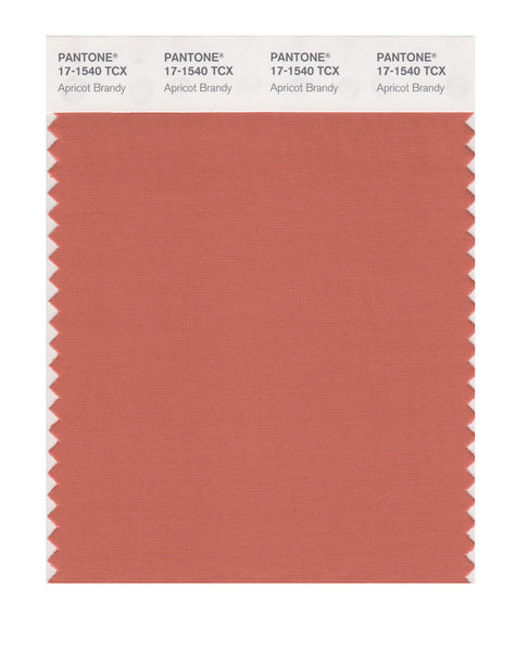 PANTONE SMART 18-1540 TCX Color Swatch Card