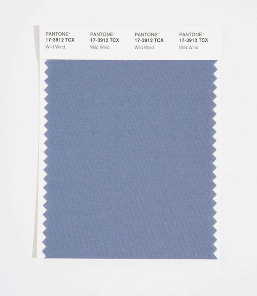 Apple - みずいろ Pantone SMART Color Swatch Card 17-3912 TCX Wild Wind
