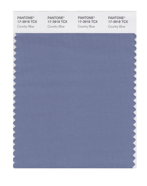 Pantone SMART Color Swatch Card 17-3918 TCX Country Blue