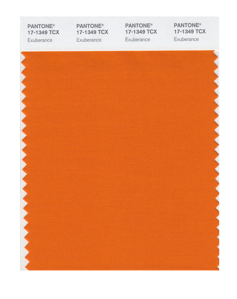 【37v】PANTONE for fashion and  Pantone SMART Color Swatch Card 17-1349 TCX Exuberance - Columbia