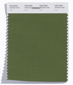 Pantone SMART Color Swatch 18-0107 TCX Kale