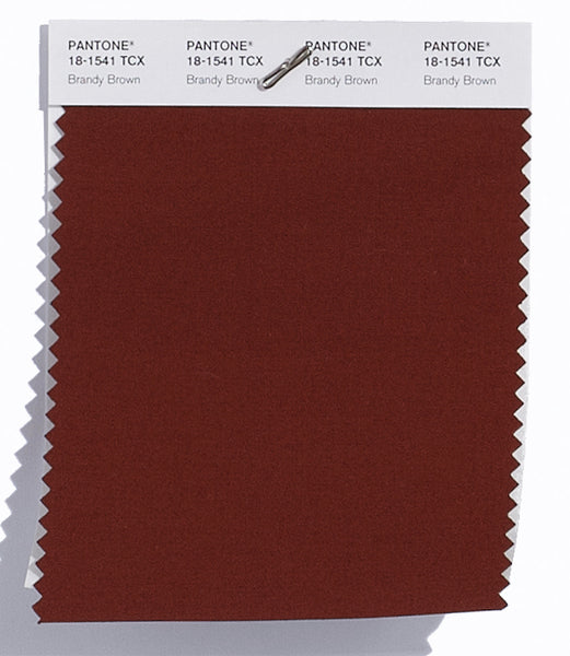 Pantone SMART Color Swatch Card 18-1541 TCX Brandy Brown