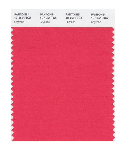 その他 PANTONE for fashion and  COLOR CARD Pantone SMART Color Swatch Card 18-1651 TCX Cayenne - Columbia