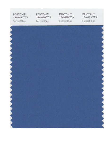 ティーズ ページ39 Pantone SMART Color Swatch Card 18-4029 TCX Federal Blue