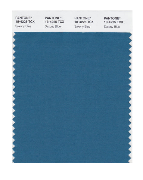 PANTONE カラースウォッチ 1995年版 Pantone SMART Color Swatch Card 18-4225 TCX Saxony Blue - Columbia