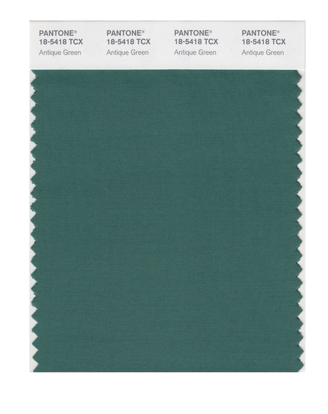 Pantone SMART Color Swatch Card 18-5418 TCX Antique Green