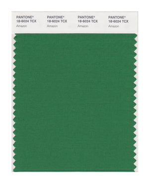 Pantone SMART Color Swatch 18-6024 TCX Amazon