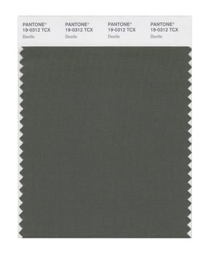 Pantone SMART Color Swatch 19-0312 TCX Beetle