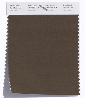 Pantone SMART Color Swatch 19-0403 TCX Sea Turtle