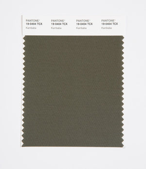 Pantone SMART Color Swatch 19-0404 TCX Kambaba