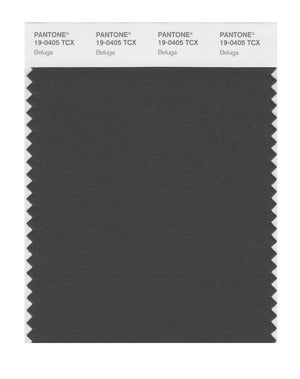 Pantone SMART Color Swatch 19-0405 TCX Beluga