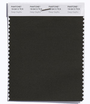 Pantone SMART Color Swatch 19-0413 TCX Deep Depths