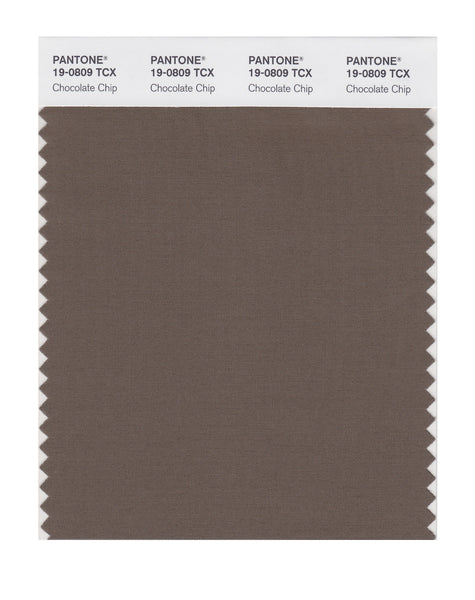 Pantone SMART Color Swatch Card 19-0809 TCX Chocolate Chip