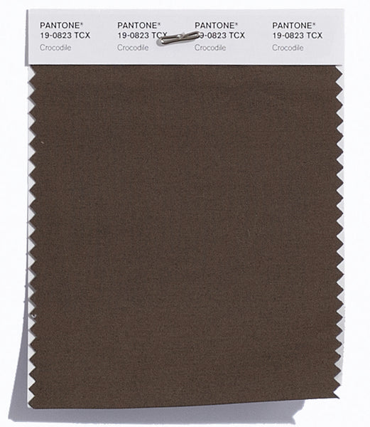 Pantone SMART Color Swatch Card 19-0823 TCX Crocodile - Columbia