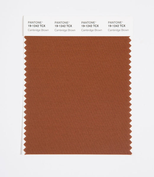 Pantone SMART Color Swatch Card 19-1242 TCX Cambridge Brown