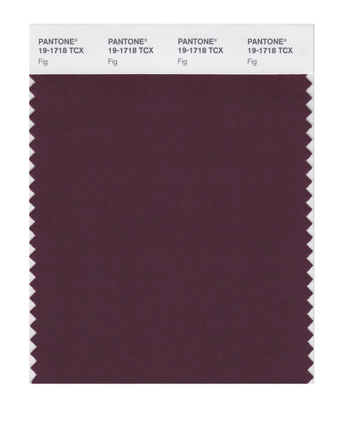 Pantone SMART Color Swatch Card 19-1718 TCX Fig - Columbia Omni Studio