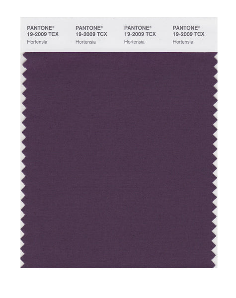 Pantone SMART Color Swatch Card 19-2009 TCX Hortensia - Columbia