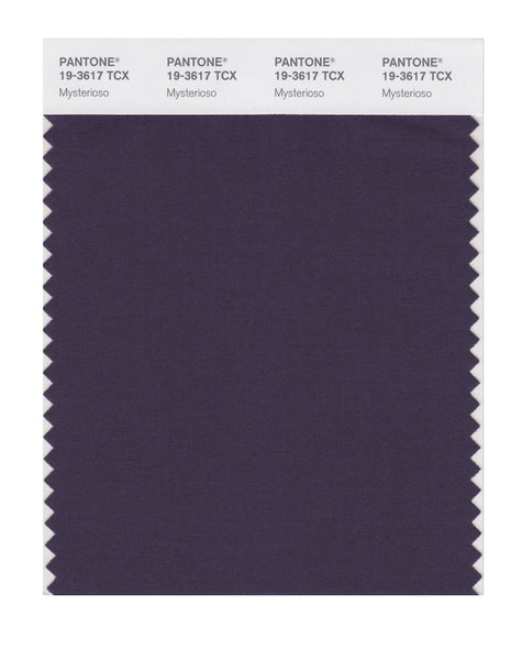 Pantone SMART Color Swatch Card 19-3617 TCX Mysterioso