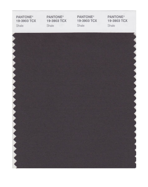 Pantone SMART Color Swatch Card 19-3903 TCX Shale - Columbia Omni