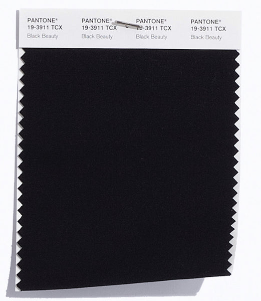 Pantone SMART Color Swatch Card 19-3911 TCX Black Beauty