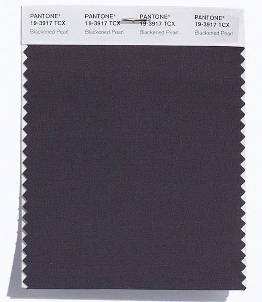 Pantone SMART Color Swatch Card 19-3917 TCX Blackened Pearl