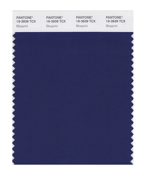 外国　特大　カラー Pantone SMART Color Swatch Card 19-3939 TCX Blueprint - Columbia