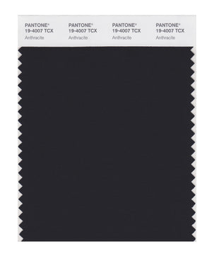 Pantone SMART Color Swatch 19-4007 TCX Anthracite