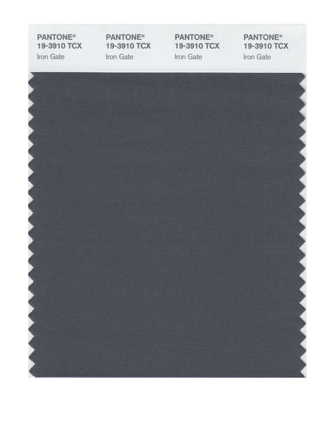 専用になります。 Pantone SMART Color Swatch Card 19-3910 TCX Iron Gate - Columbia