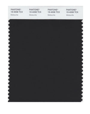 Pantone SMART Color Swatch 19-4008 TCX Meteorite