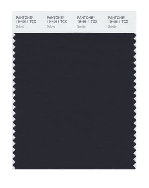 Pantone SMART Color Swatch 19-4011 TCX Salute