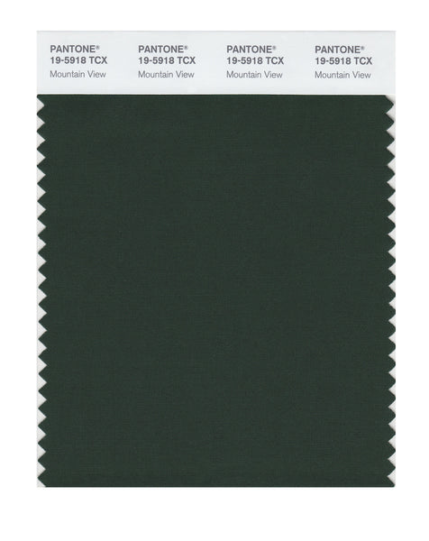 Pantone SMART Color Swatch Card 19-5918 TCX Mountain View