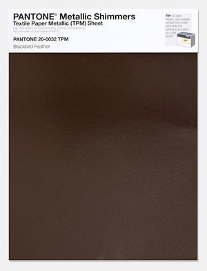 20-0032 TPM Blackbird Feather