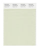 Pantone SMART Color Swatch 12-0106 TCX Meadow Mist