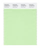 Pantone SMART Color Swatch 12-0225 TCX Patina Green