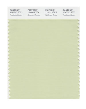 Pantone SMART Color Swatch 12-0313 TCX Seafoam Green