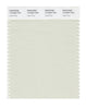 Pantone SMART Color Swatch 12-0404 TCX Light Gray