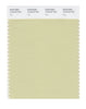 Pantone SMART Color Swatch 12-0418 TCX Hay