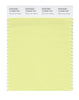 Pantone SMART Color Swatch 12-0520 TCX Pale Lime Yellow