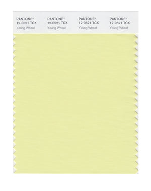 Pantone SMART Color Swatch 12-0521 TCX Young Wheat