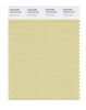 Pantone SMART Color Swatch 12-0619 TCX Dusty Yellow