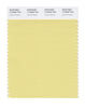 Pantone SMART Color Swatch 12-0626 TCX Lemon Grass