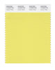 Pantone SMART Color Swatch 12-0633 TCX Canary Yellow
