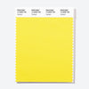 Pantone Polyester Swatch Card 12-0658 TSX Highlight